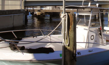 Captain Adam's Charters boat rental operation on Palm Harbor, FL 1