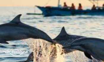 Padre Boat Tours boat rental operation on Corpus Christi, TX 4