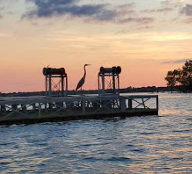 Cottonwood Creek Marina Docklyne