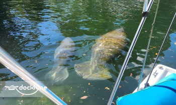 Overnight Boat Rental boat rental operation on , FL 1