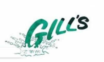 Gill's on the Chain boat rental operation on Spring Grove, IL 4