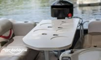 BBQ Pontoon boat rental operation on Chicago, IL 7