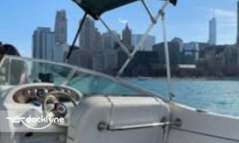 Windy City Boat boat rental operation on Chicago, IL 10