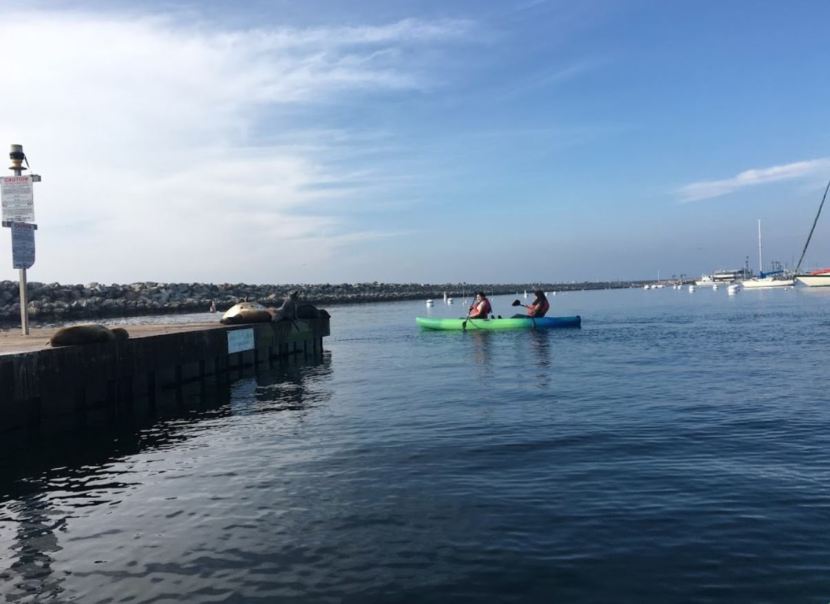 marinaBoat