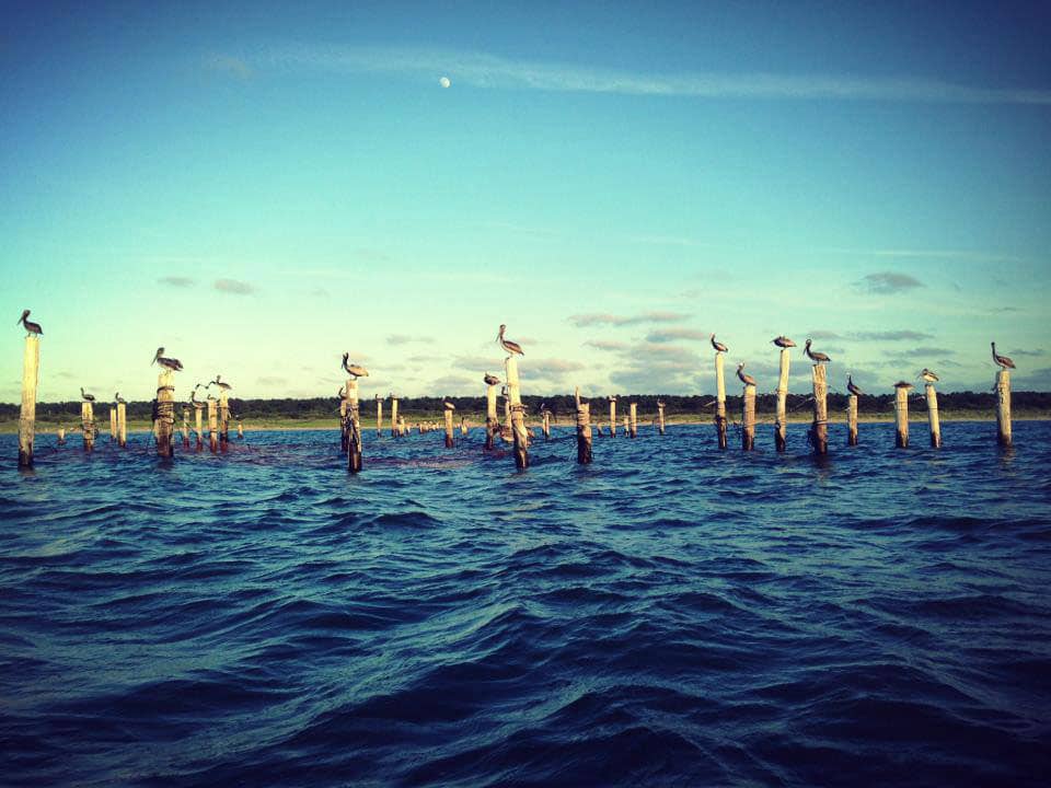 marinaImage