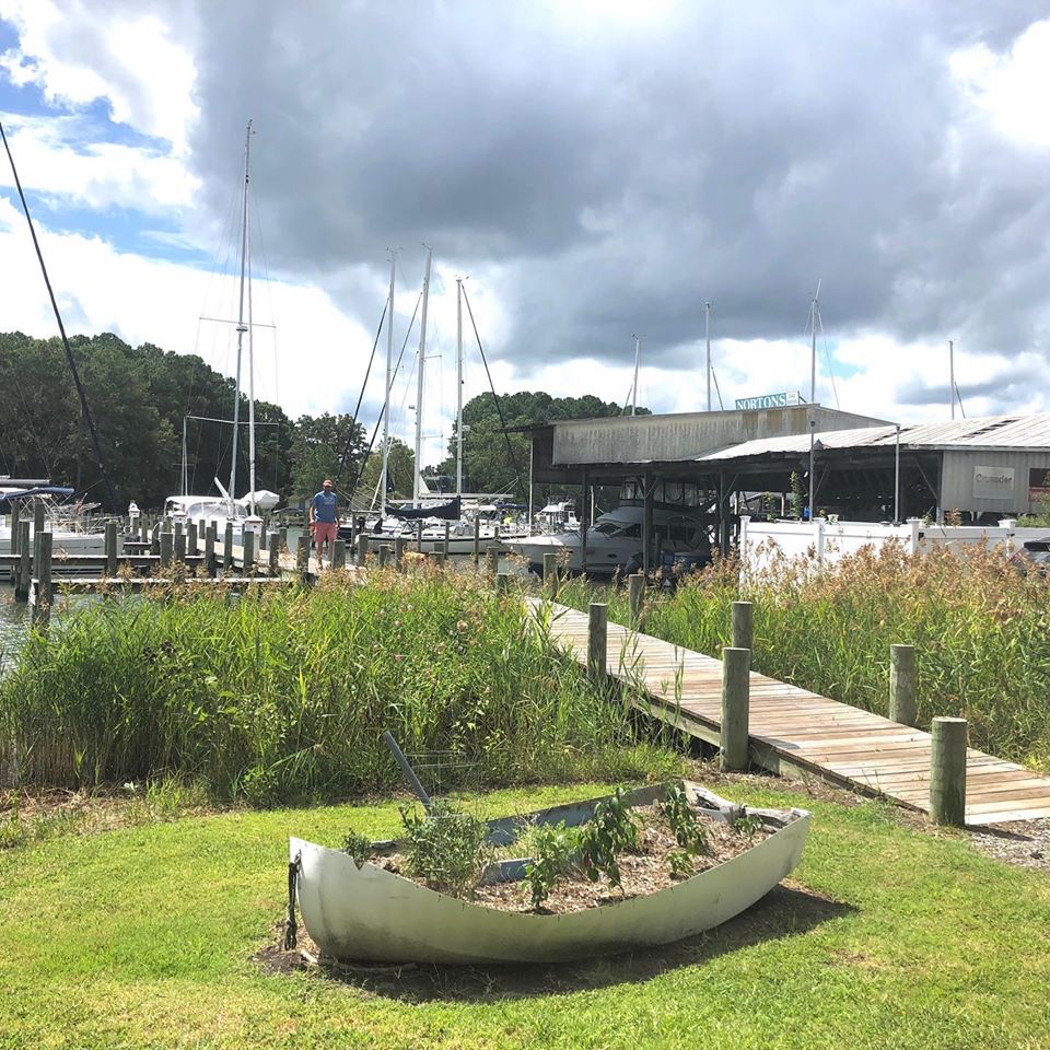 marinaBoat