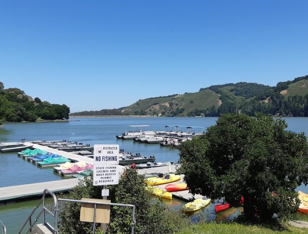 marinaBoat
