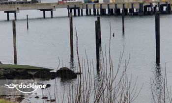 Big Salmon Fishing Resort boat rental operation on Neah Bay, WA 1