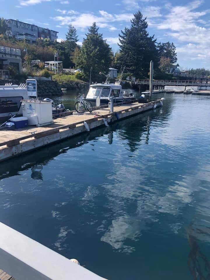marinaBoat
