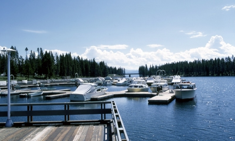 marinaImage
