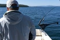 marinaImage