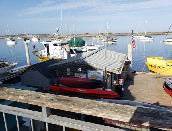 marinaBoat