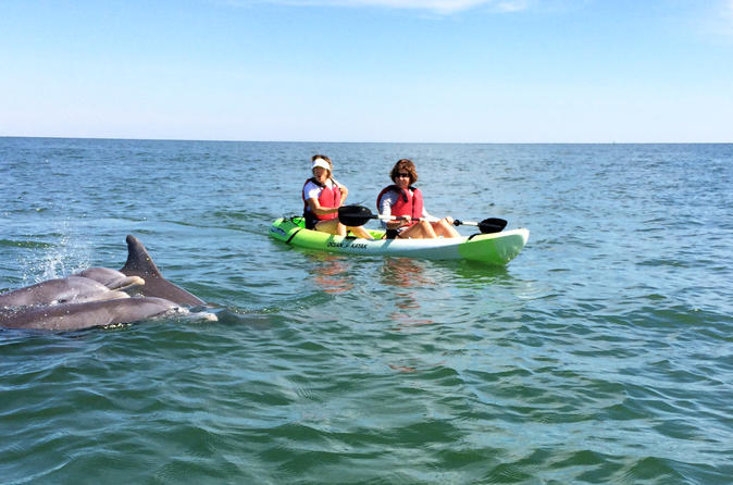 marinaBoat