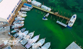 Islamorada Watersports Company @ Bud N' Mary's Marina boat rental operation on Islamorada, FL 1
