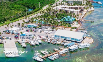 Islamorada Watersports Company @ Bud N' Mary's Marina boat rental operation on Islamorada, FL 2