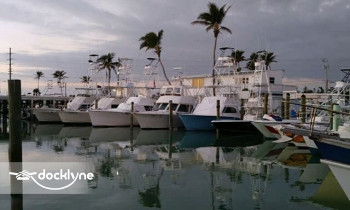Islamorada Watersports Company @ Bud N' Mary's Marina boat rental operation on Islamorada, FL 3