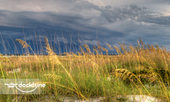 Romantic Honeymoon Island & Caladesi Island Rentals boat rental operation on Dunedin, FL 5
