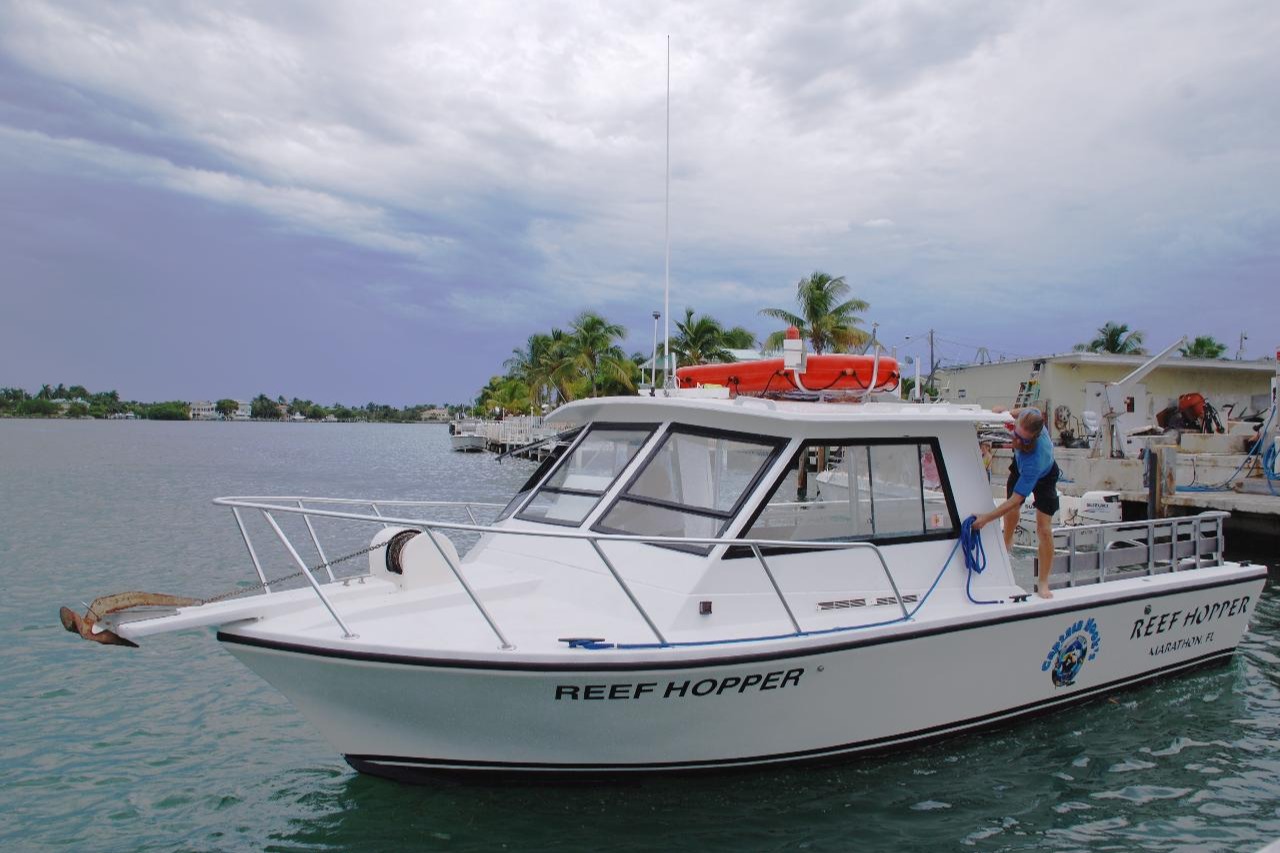 marinaBoat