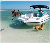 marinaBoat