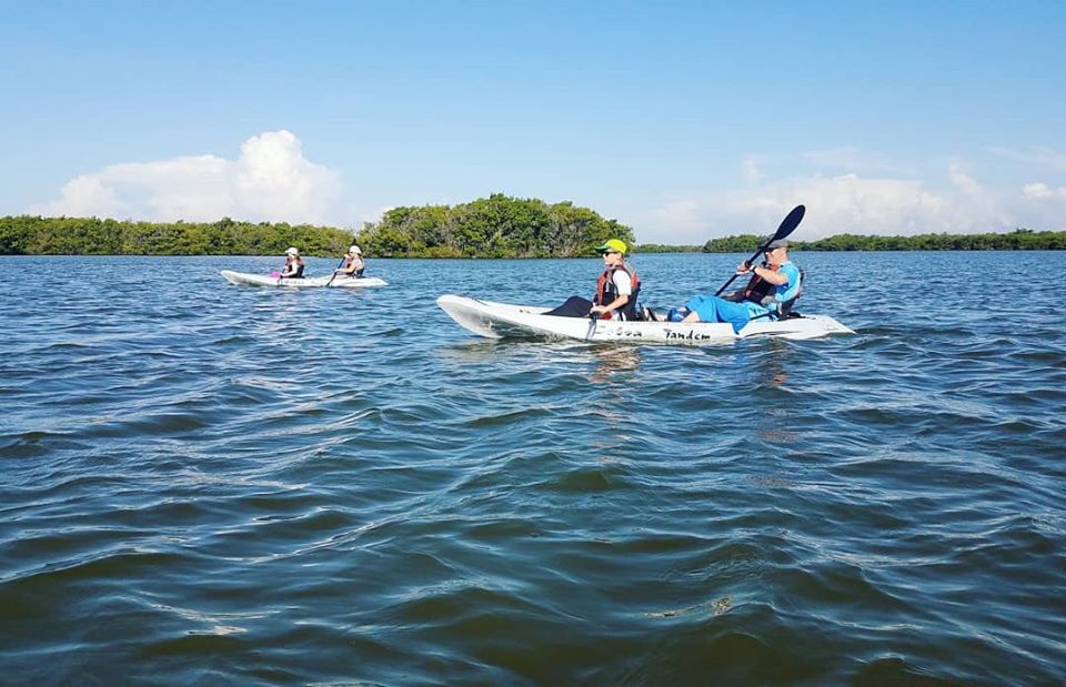 marinaBoat
