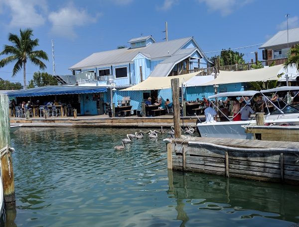 marinaBoat