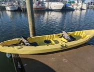 marinaBoat