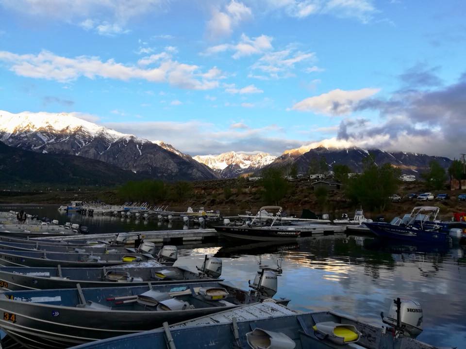 marinaBoat
