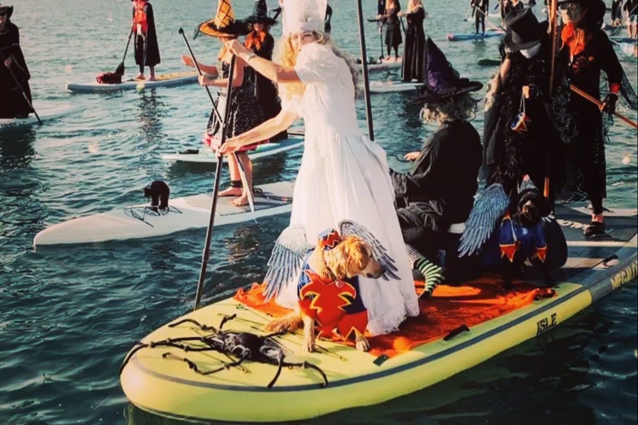 marinaBoat
