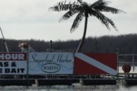 marinaBoat