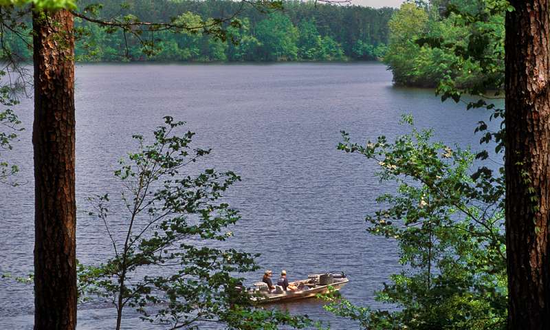 marinaBoat
