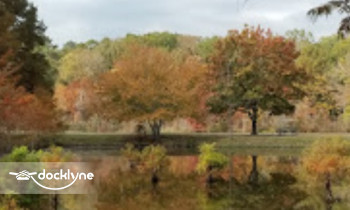 White Oak Lake State Park boat rental operation on Bluff City, AR 8
