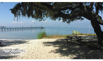Eastern Shore Watersports boat rental operation on Fairhope, AL 2