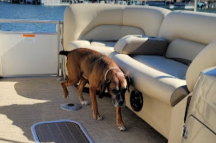 marinaBoat