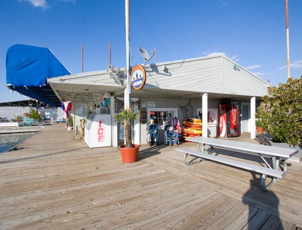 marinaBoat