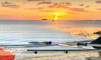 Tropic Water Sports @ Snappers Key Largo boat rental operation on Key Largo, FL 6