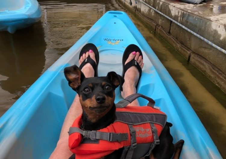 marinaBoat