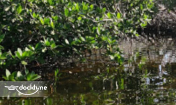 Big Pine Kayak Adventures boat rental operation on Big Pine Key, FL 4