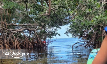 Big Pine Kayak Adventures boat rental operation on Big Pine Key, FL 6