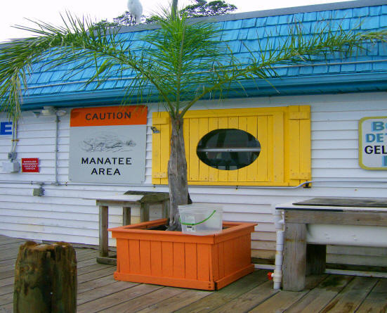 marinaBoat