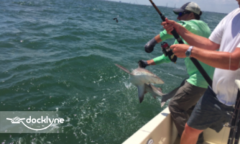 Reel fish finder boat rental operation on  Moncks Corner, SC 1