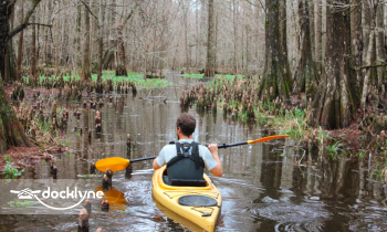 Charleston Kayak Company boat rental operation on Charleston, SC 5
