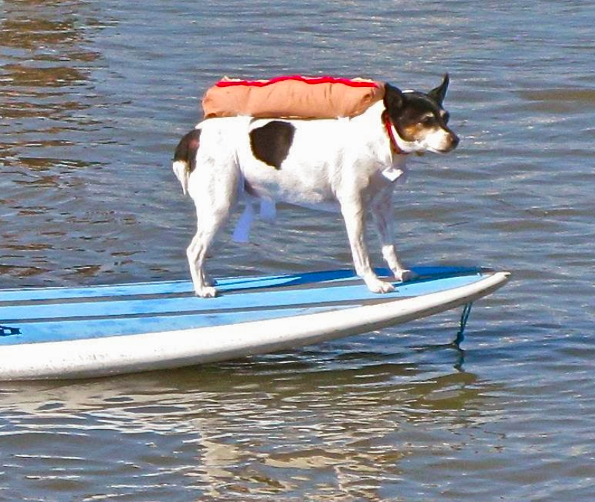 marinaBoat