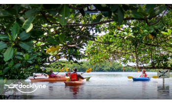 Sweetwater Kayaks Rentals at Weedon Island boat rental operation on St. Petersburg, FL 2