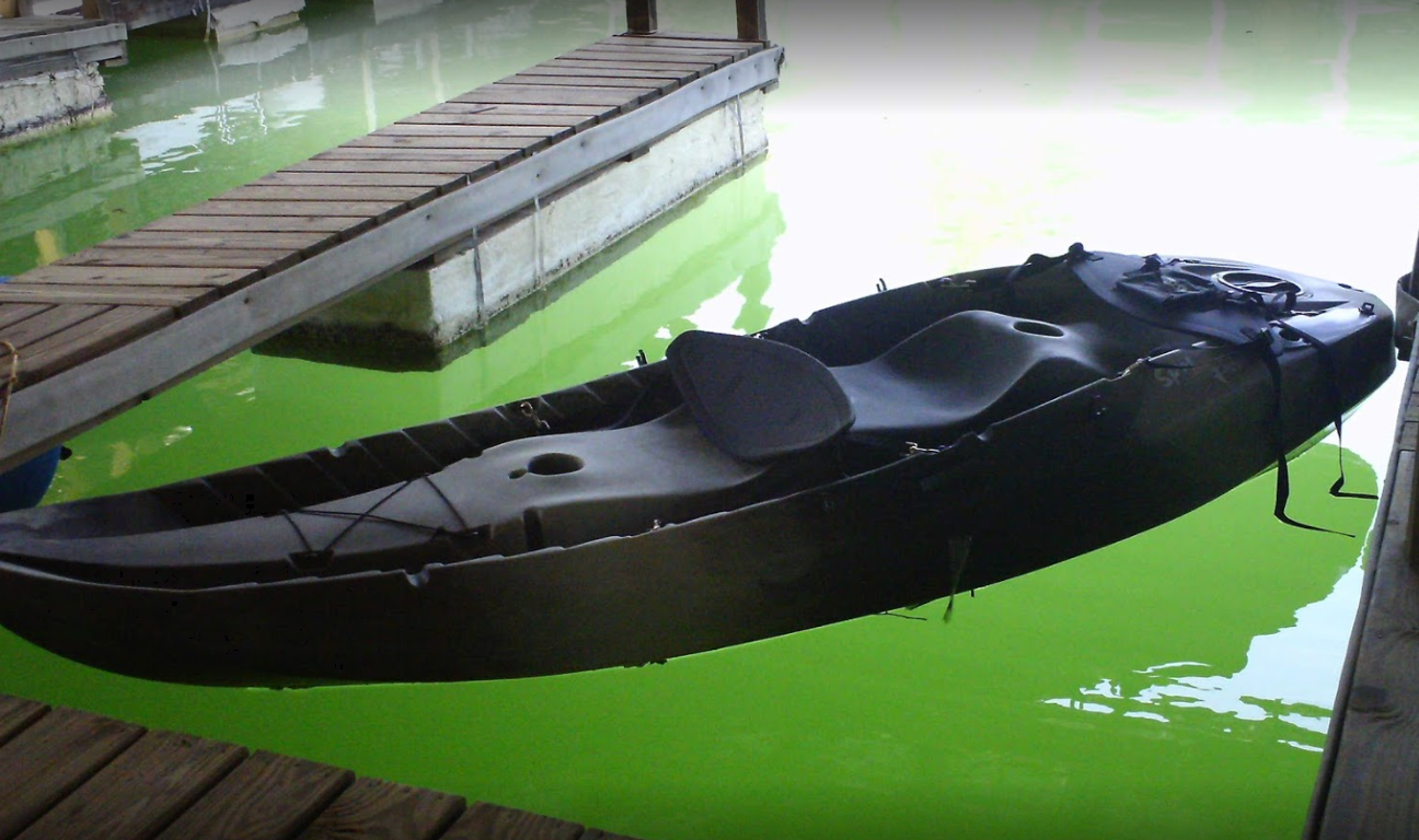 marinaBoat