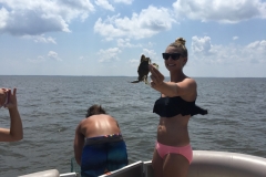 marinaBoat