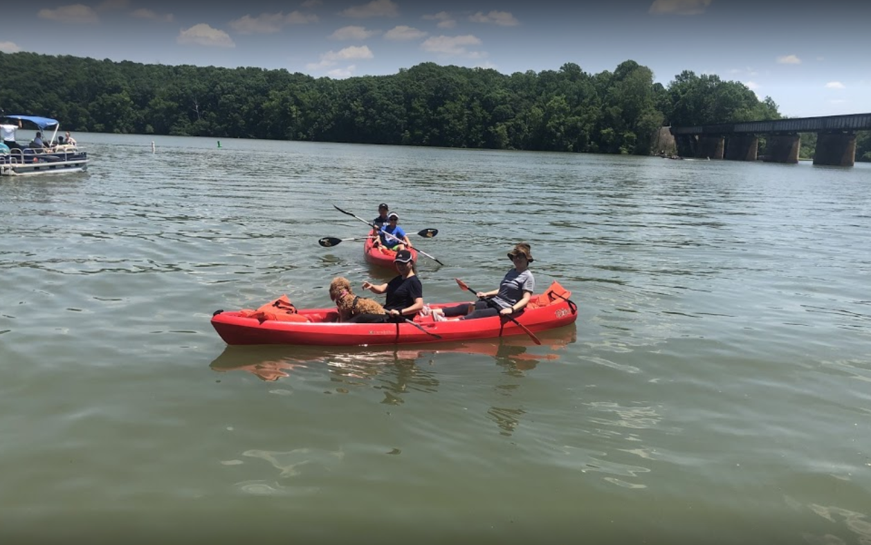 marinaBoat