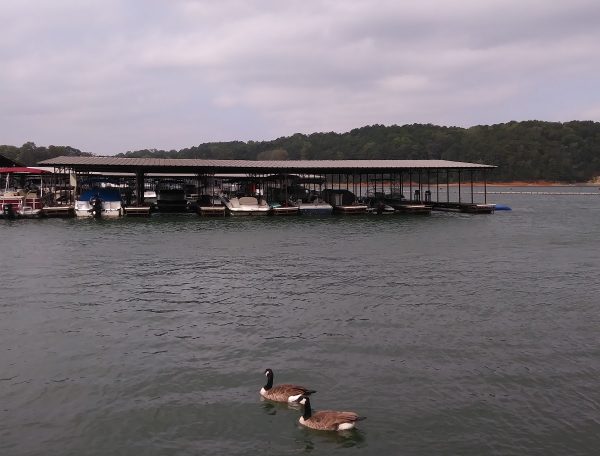 marinaBoat