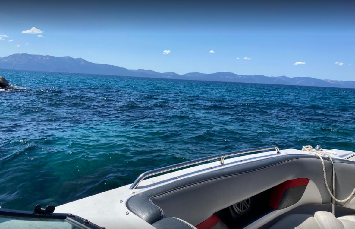 marinaBoat