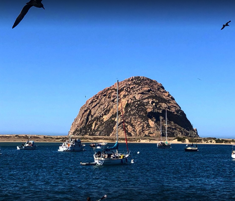marinaBoat