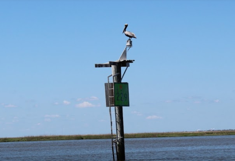 marinaBoat